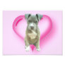 Valentines Pitbull puppy Photo