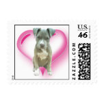 Valentines Pitbull puppy postage
