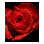 L'affiche/toile de Valentine posters
