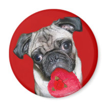 Valentine's pug magnet