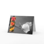 Valentine's Rose Card