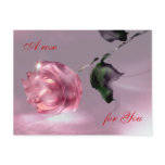 Valentine's Rose Postcard