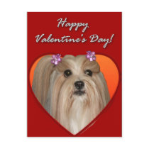 Valentine's Shih Tzu greeting card Post Card