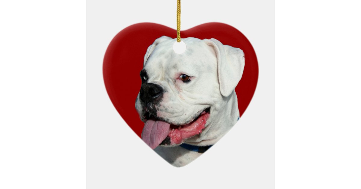 Valentine's White Boxer dog ornament Zazzle