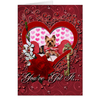 cute yorkie valentines day images