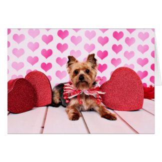 yorkie valentines day shirts