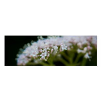 Valerian business cards