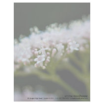 Valerian letterhead