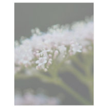 Valerian letterhead