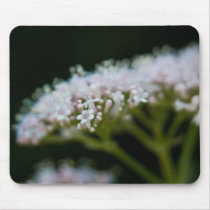 Valerian mousepads