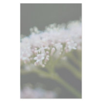 Valerian stationery