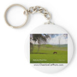 Vallecitos Road California Products Key Chains