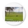 Vallecitos Road California Products Refrigerator Magnets