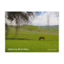 Vallecitos Road California Products Postcards