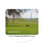 Vallecitos Road California Products Stickers