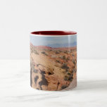 Valley Floor in the Valley of Fire Coffee Mugs