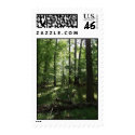 Valley Forge 1 postage