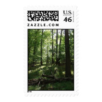 Valley Forge 1 postage by alecwebpa Valley Forge 1 postage