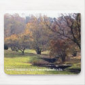 Valley Garden State Park, Wilmington, De. mousepads