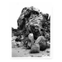 Valley of Fire Rock Pile Print