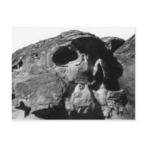 Valley of Fire Skull Rock Post Card