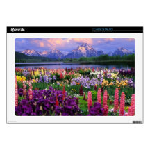 Valley Of The Flowers - 17" Laptop for Mac & PC 17" Laptop Skins