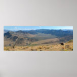 Valley posters