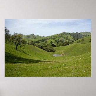 Valley View Poster print