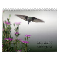 Valley Vision's calendars