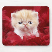 Valuegem Holiday Kitten  Mousepad