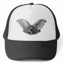 Vampire ? Bat ? hats