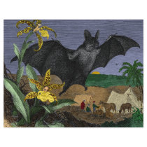 Vampire Big Flying Mouse flyers
