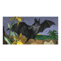 Vampire Big Flying Mouse Photo Greeting Card