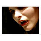  - Fangs are fun and we have your vampire loving t-shirts, cups, totes and more for all your vampy needs. Minus the blood.We don't sell that.: Sizes 