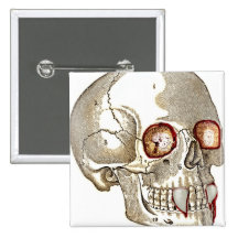 VAMPIRE SKULL PRINT PINBACK BUTTONS