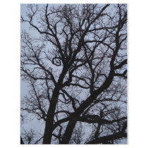 Vampire Tree Letterhead