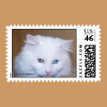 VAN CAT TURKEY  Postage stamps