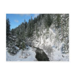 Van Duzen River in Winter Post Card