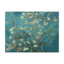 Van Gogh Almond Branches in Bloom Post Cards