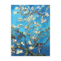 Van Gogh Almond Branches in Blossom Postcard