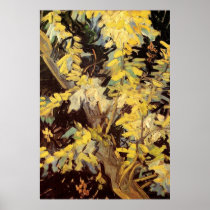 Van Gogh; Blossoming Acacia Branches Posters