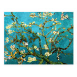Van Gogh Blossoming Almond Tree (F671) Fine Art Post Cards