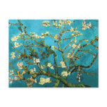 Van Gogh Blossoming Almond Tree Post Cards