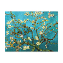Van Gogh Blossoming Almond Tree Post Cards