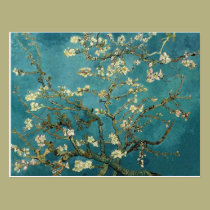 Van Gogh Blossoming Almond Tree Postcard postcards