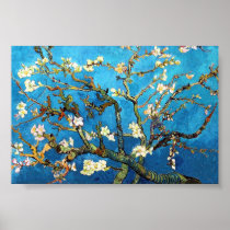 Van Gogh Blossoming Almond Tree Poster