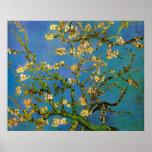 Van Gogh; Blossoming Almond Tree Poster