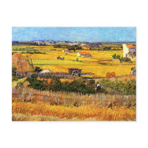Van Gogh Harvest at La Crau Postcard