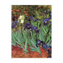 Van Gogh Irises Postcard