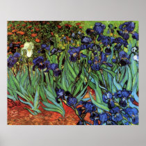 Van Gogh Irises Posters